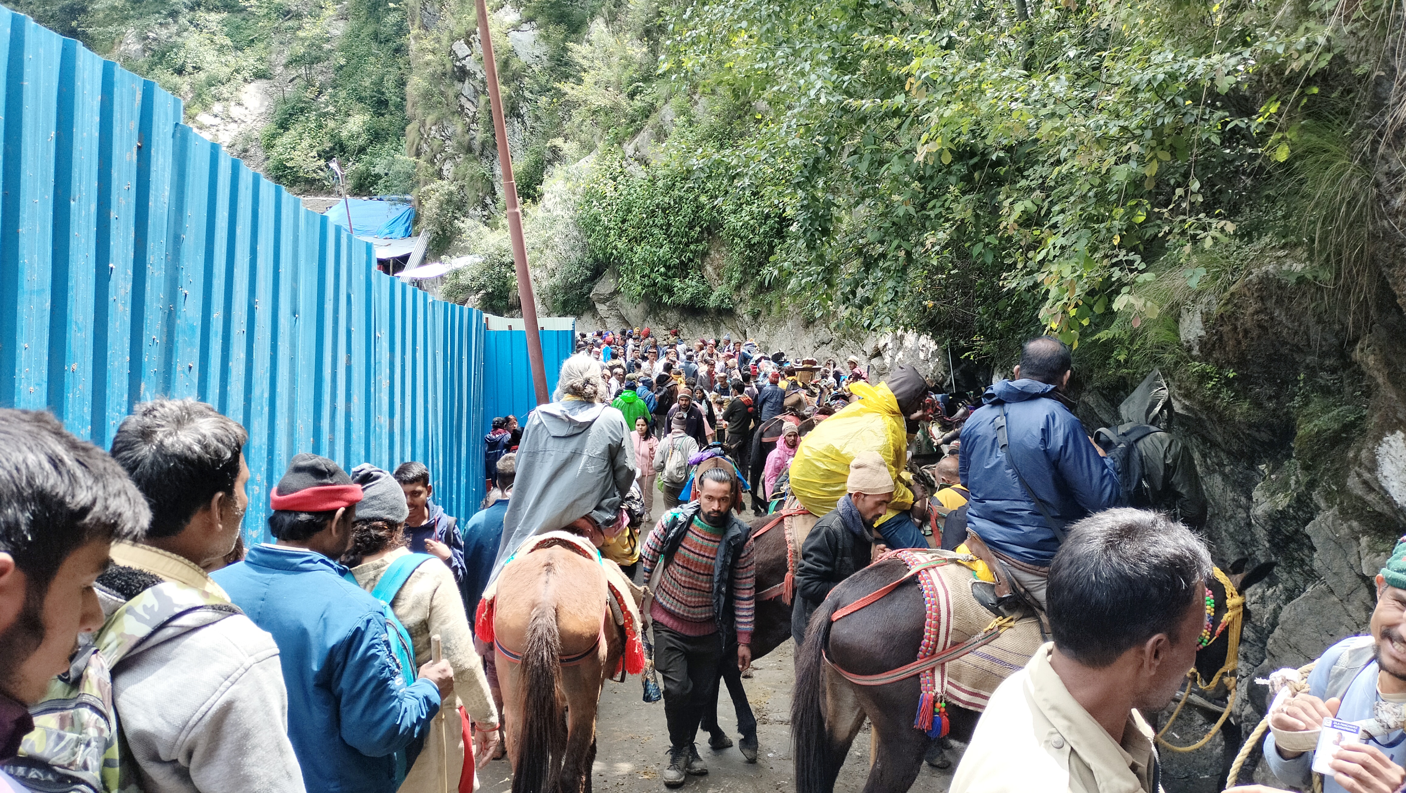 કેદારનાથ યાત્રા કેવી રીતે કરવી?